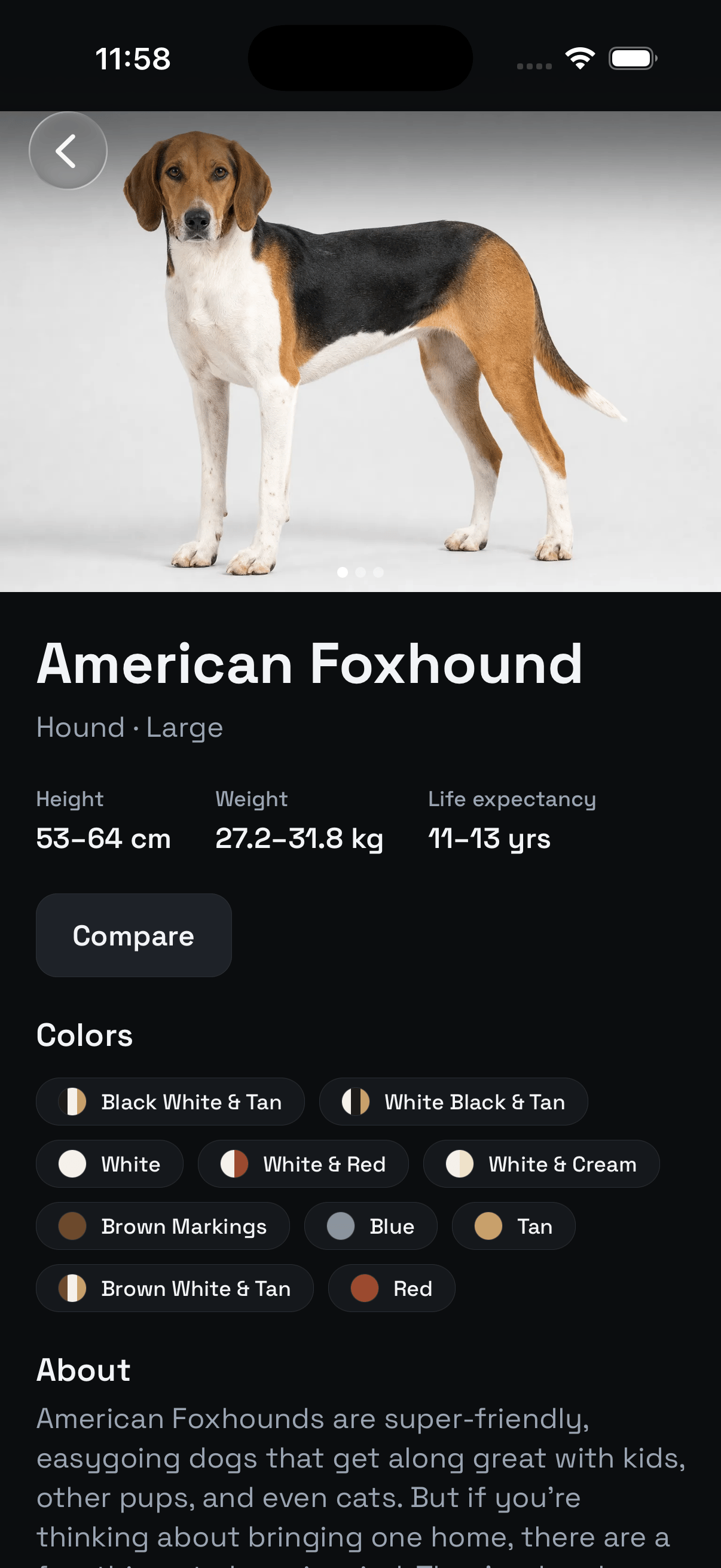Animalis breed profile for the American Foxhound