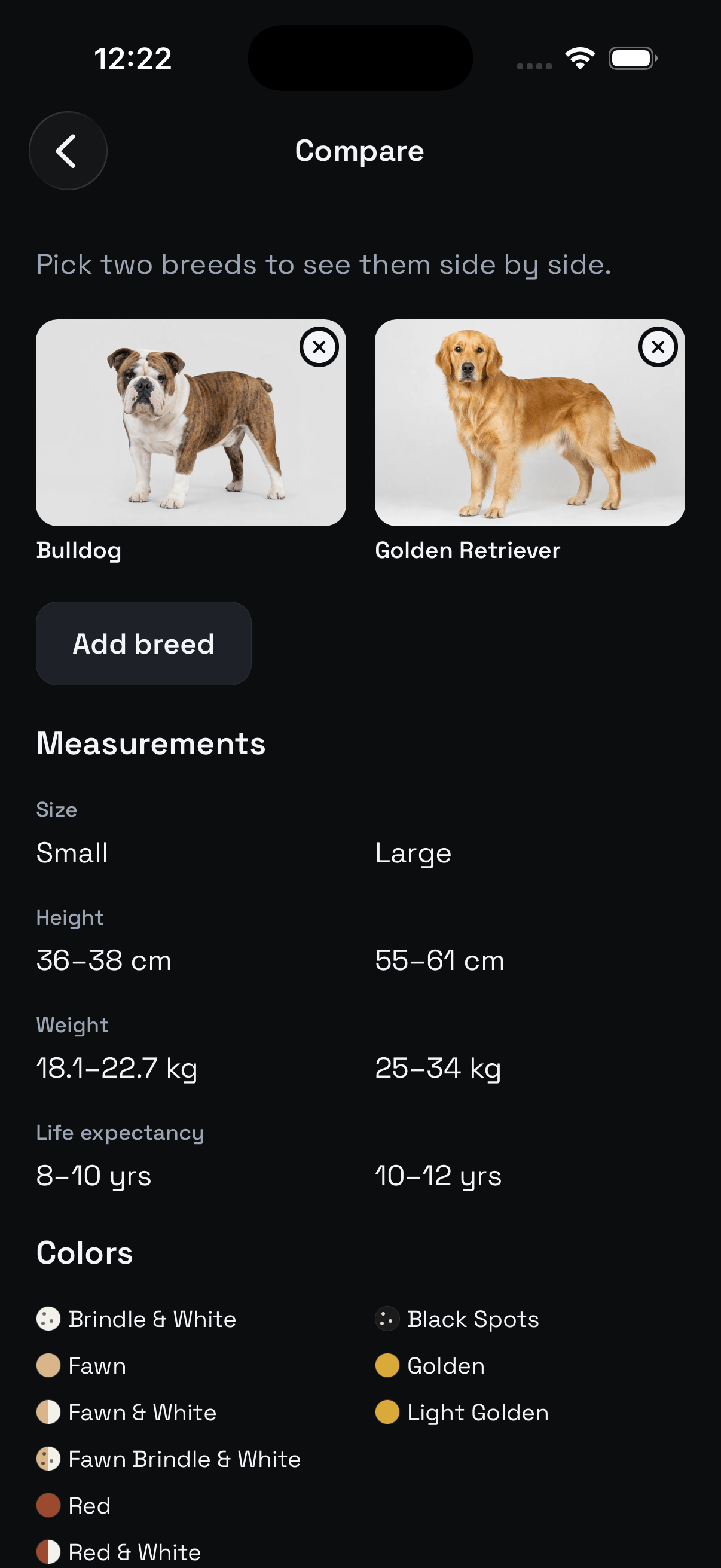 Animalis comparing a Bulldog and a Golden Retriever side by side